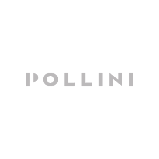 Pollini
