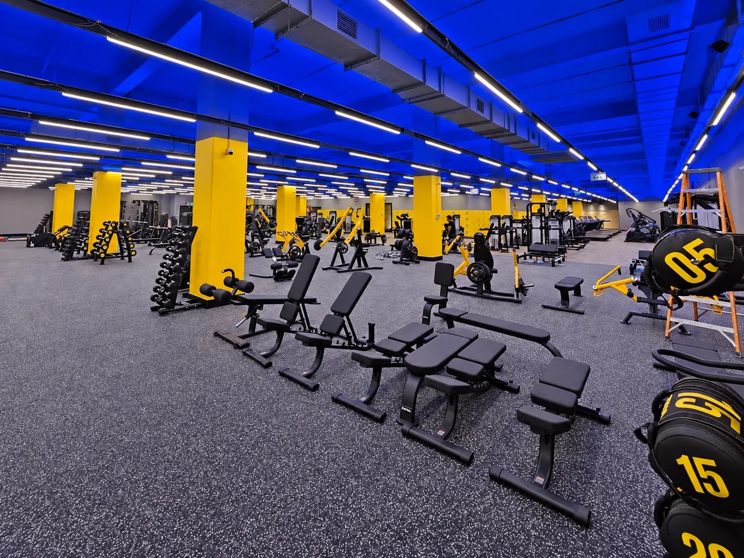 Interior comercial habilitado por M-5