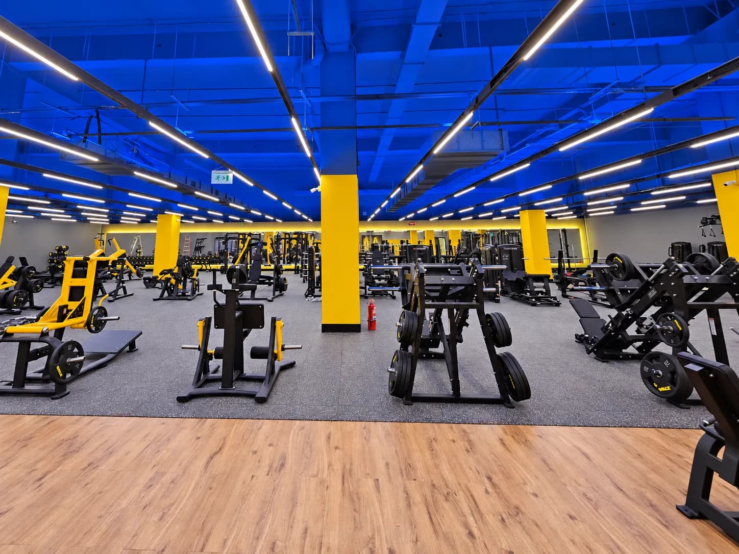 Zona de entrenamiento